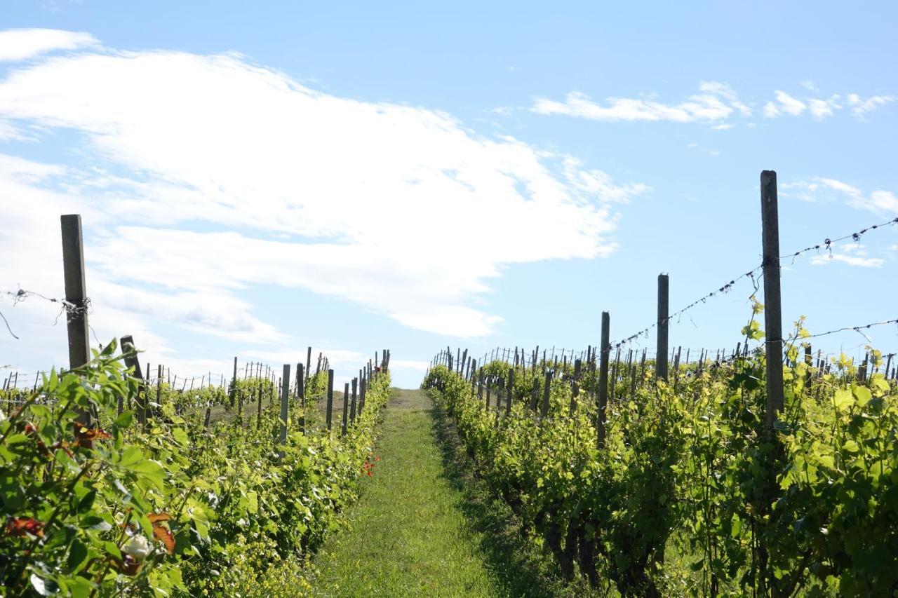 Naturalmente Wine Resort Agliano Terme Kültér fotó