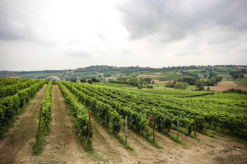 Naturalmente Wine Resort Agliano Terme Kültér fotó